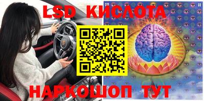 амф Кимры