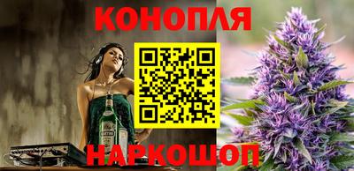 эйфоретик Кингисепп