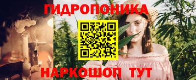 эйфоретик Кингисепп