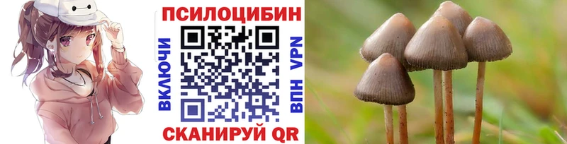 Псилоцибиновые грибы Psilocybine cubensis Сызрань
