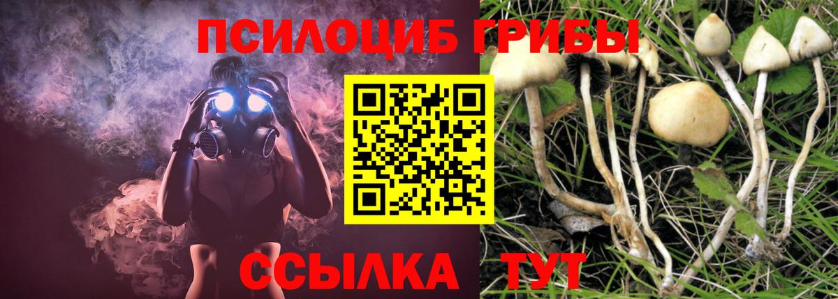 Псилоцибиновые грибы мухоморы Сызрань