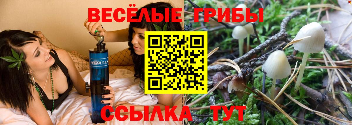 Псилоцибиновые грибы GOLDEN TEACHER  Псилоцибиновые грибы Cubensis  Вход с VPN  Сызрань 